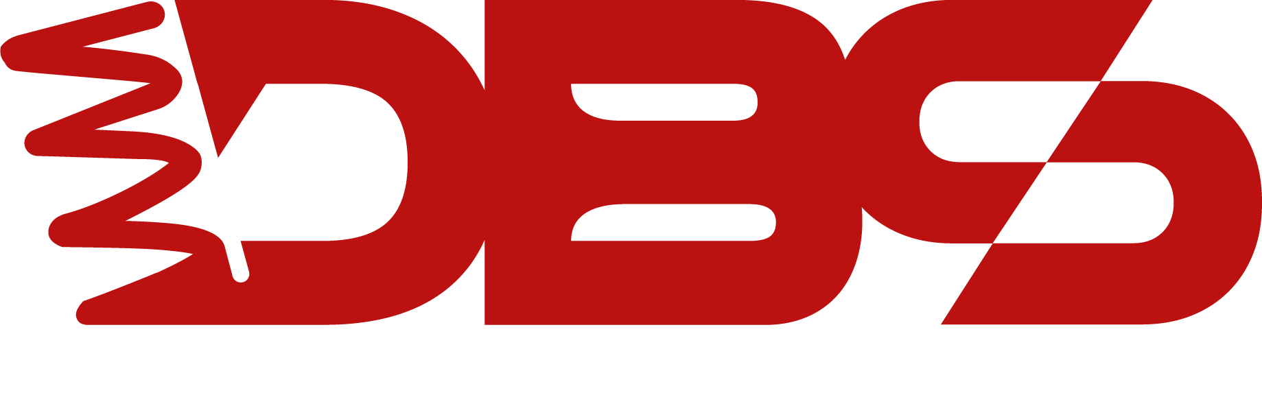 Danys Bike Suspension